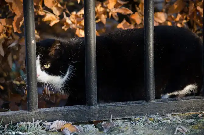 Прогулка по территории замка Шантаийи