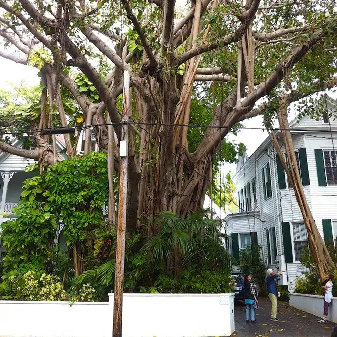 20 больших вещей в Америке