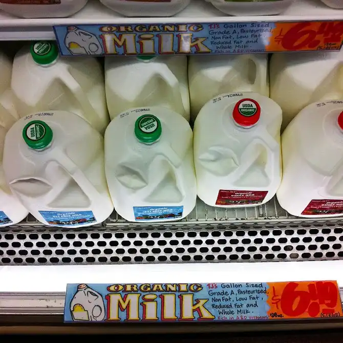 20 больших вещей в Америке