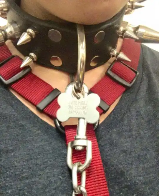 Самая романтичная пара на свете