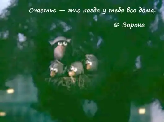 Жизненные цитаты из любимых мультфильмов.