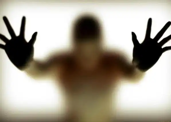 Незваные гости: полтергейст в истории и культуре.