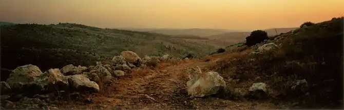 Открытая дорога Вима Вендерса