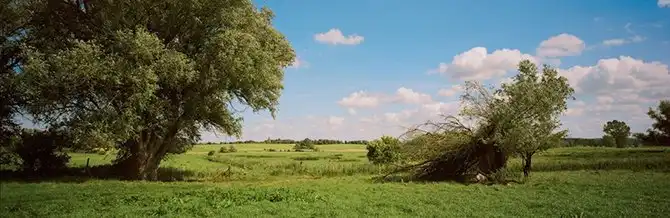 Открытая дорога Вима Вендерса