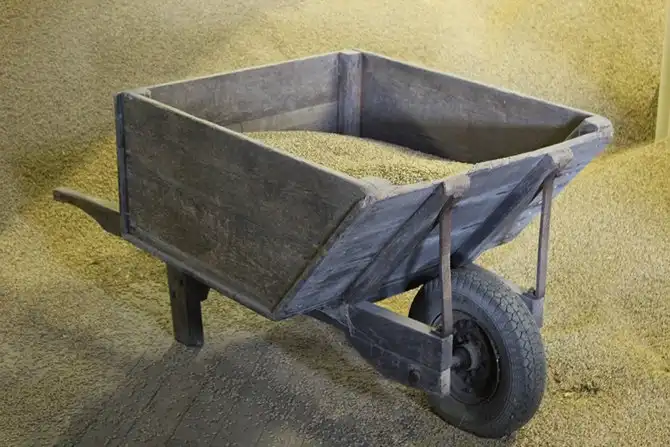 В гостях у виски