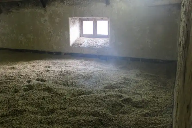 В гостях у виски