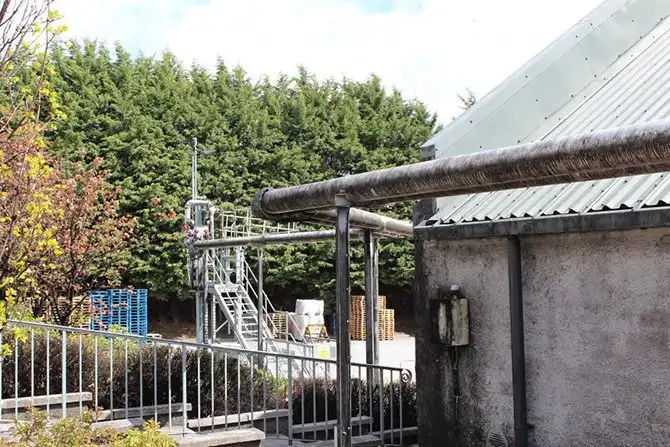 В гостях у виски