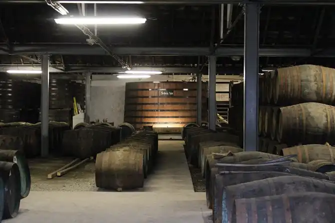 В гостях у виски