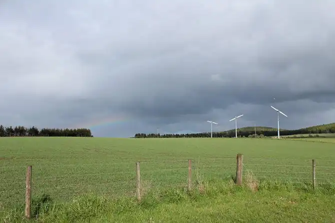 В гостях у виски