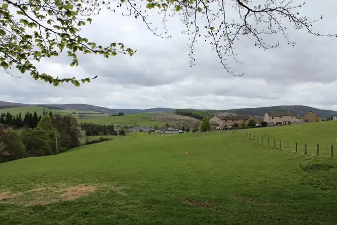 В гостях у виски