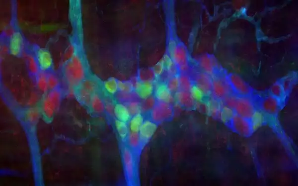 Удивительные космические объекты