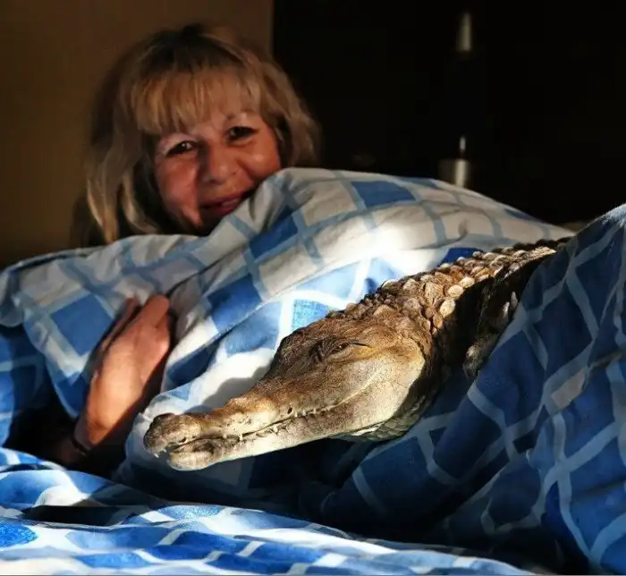 Опасный домашний питомец