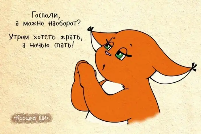 Белка Ши, как никто другой, способна понять многих девушек