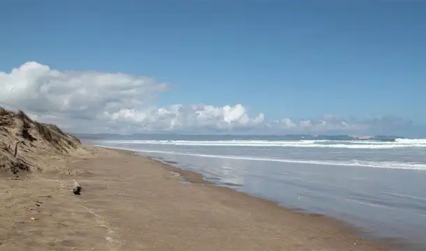 Интересные факты о Новой Зеландии