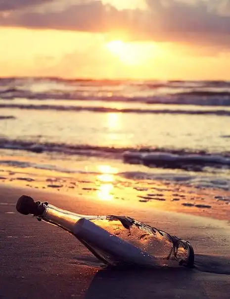 ПОСЛАНИЕ В БУТЫЛКЕ