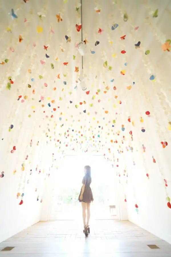 25 самых популярных фотосерий на 500px.