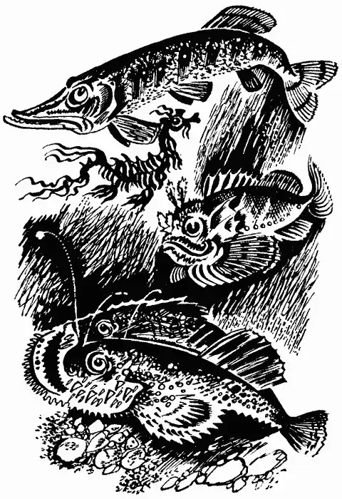 МОРСКИЕ СКАЗКИ. ЧАСТЬ 5