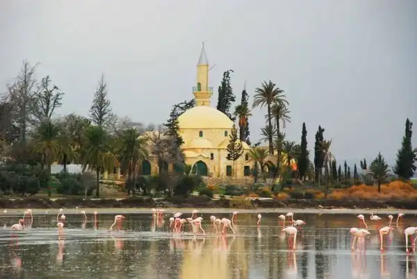 Чудеса Кипра. Соленое озеро Ларнаки