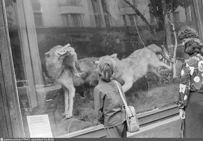 Прогулка по Москве 1981 года