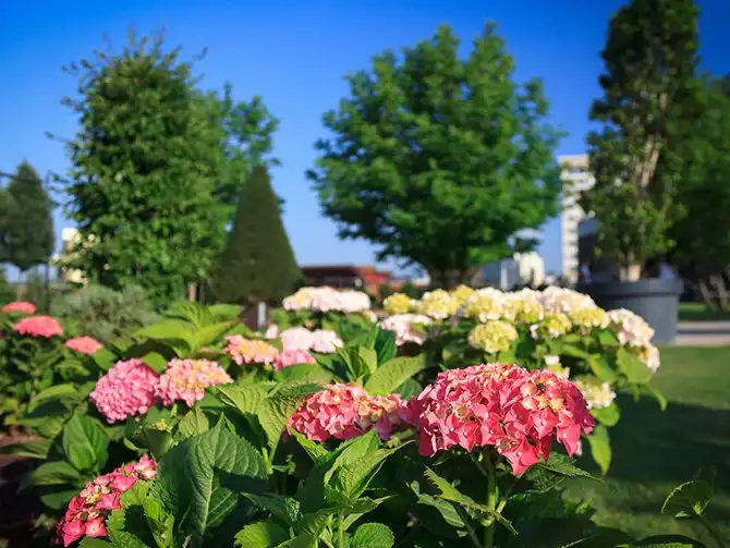 Неизведанная Румыния