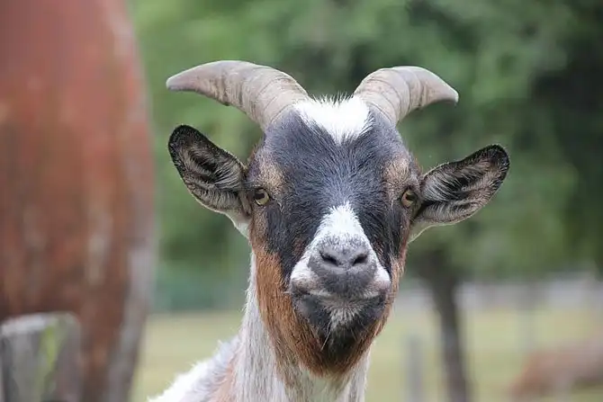 Путешествие по Нормандии