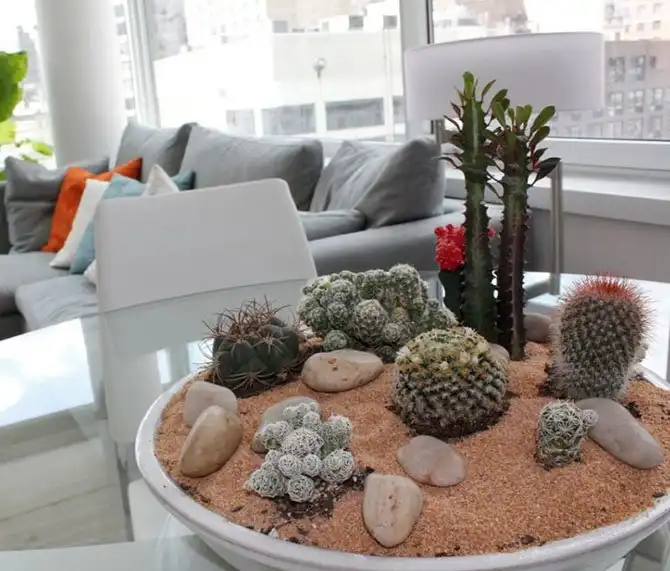 Неприхотливые растения для тех, у кого нет времени