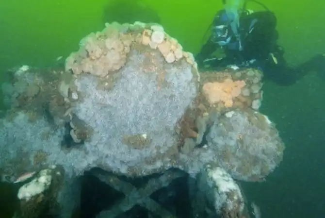 10 необычных находок с морского дна