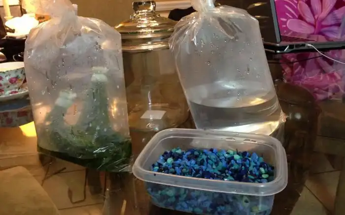 Создаем замкнутую водную экосистему в банке