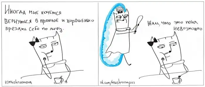 Проблемы кошки Котечки, до боли знакомые всем женщинам