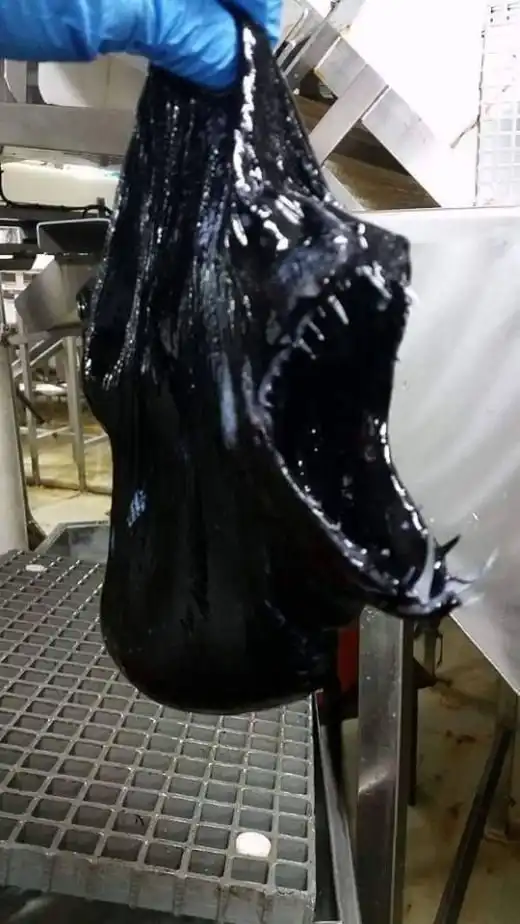 Неизвестное существо было выловлено из Атлантического океана