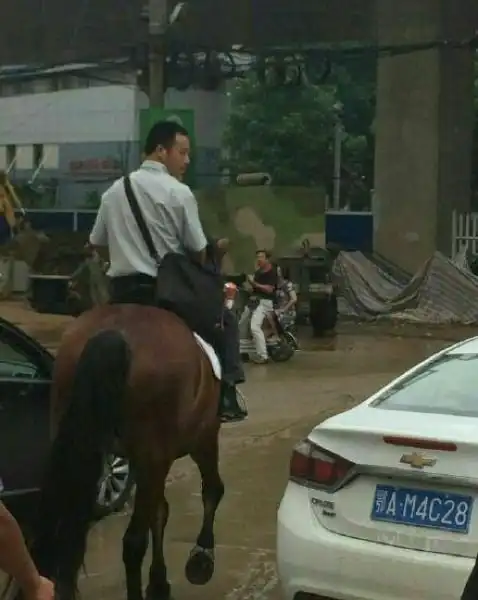 Лошадь - лучший транспорт для забитого пробками города