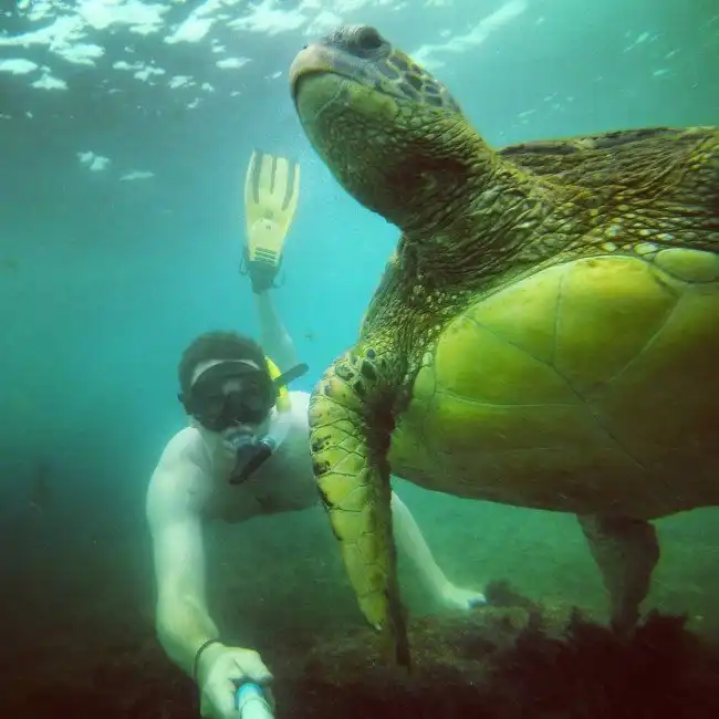 Самые популярные среди туристов острова мира