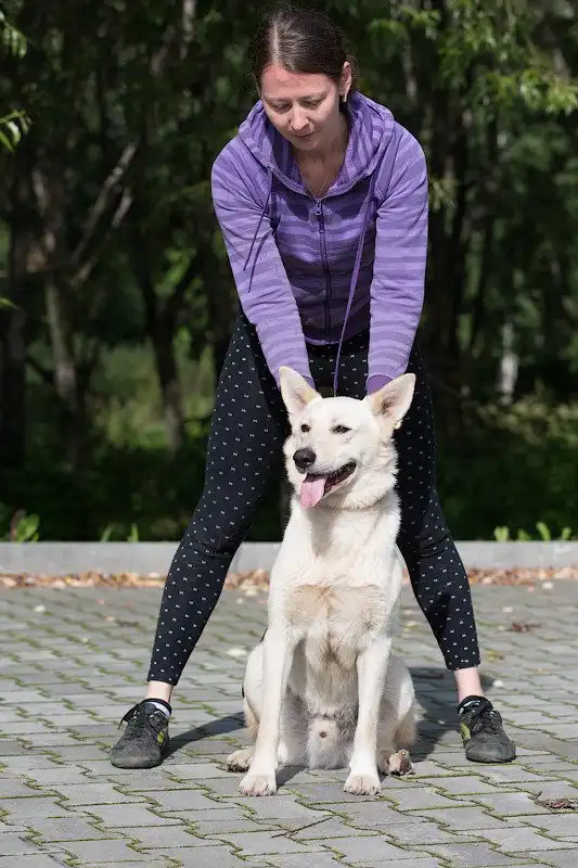 Отдам собачку Зака