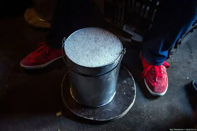 Прогулка по трущобам Кейптауна