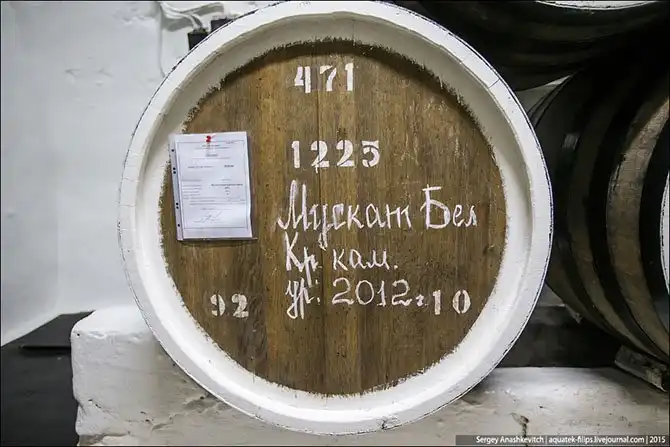 Экскурсия по винзаводу Массандра