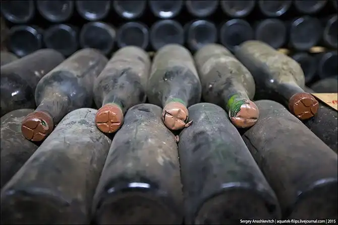 Экскурсия по винзаводу Массандра