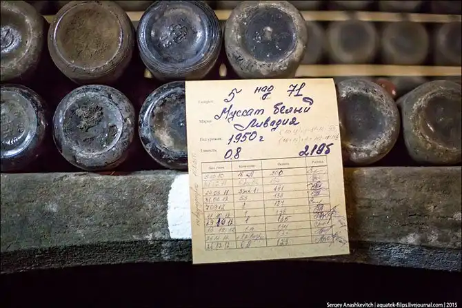 Экскурсия по винзаводу Массандра