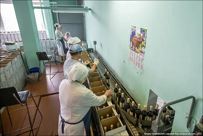 Экскурсия по винзаводу Массандра