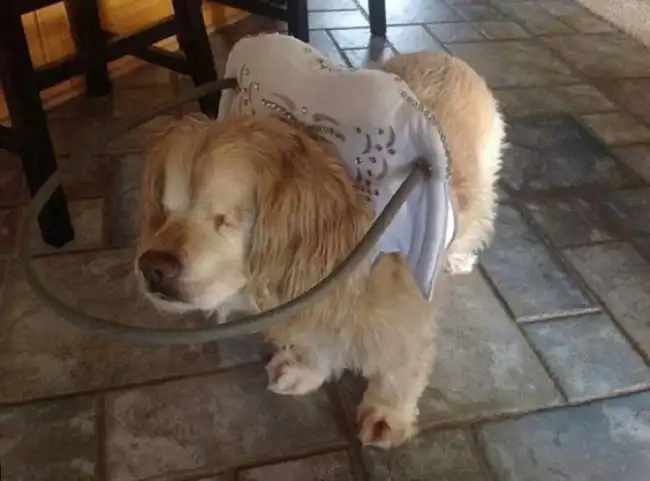 18 фотографий, которые меняют представление об этом мире