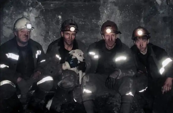 В Кемеровской области установили памятник собаке-горняку