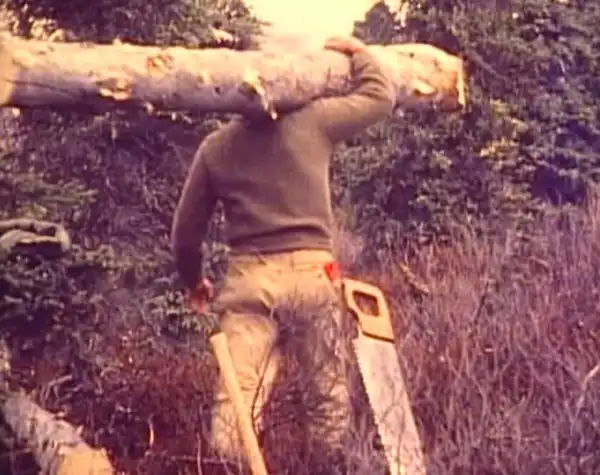 Мужчина выжил 25 лет в одиночку на Аляске