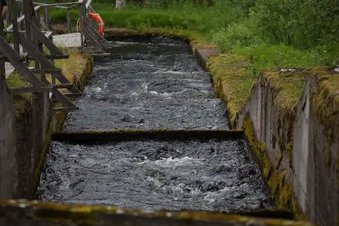 Как устроены электростанции Северо-Запада