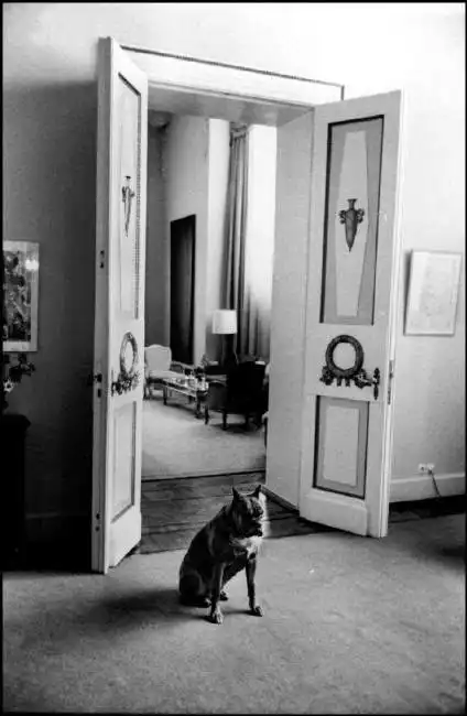 СССР в объективе Эллиотта Эрвитта.