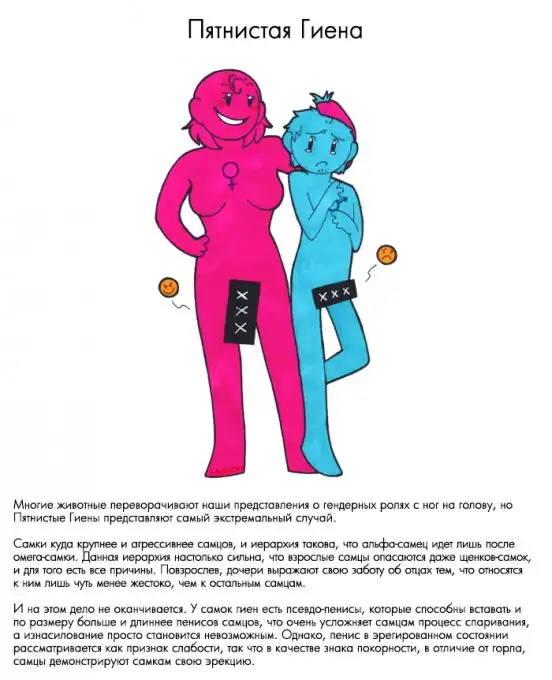 Как бы мы заводили детей, если б происходили от других животных?