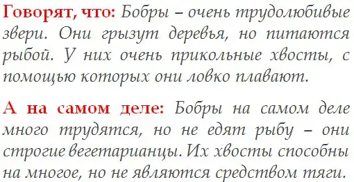 Вся правда о бобрах