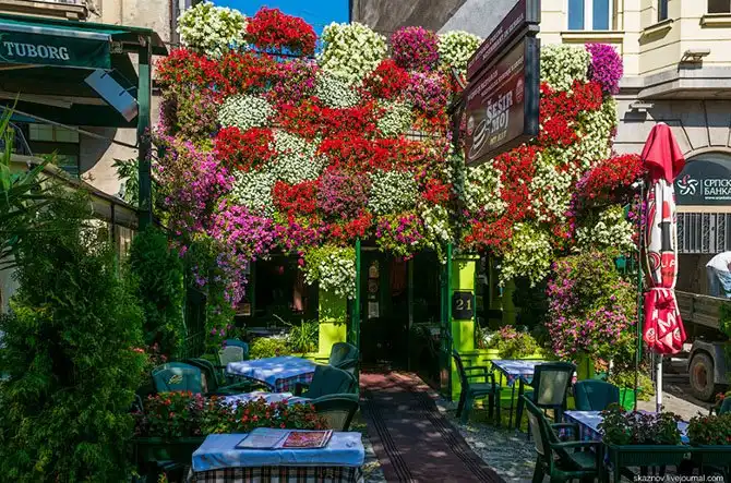 Прогулка по Белграду