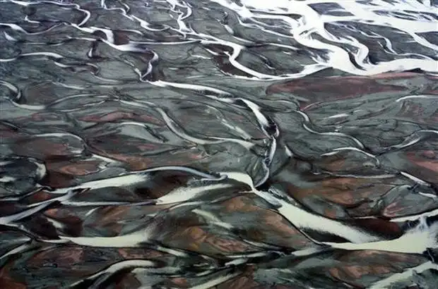 Признаки грядущей экологической катастрофы