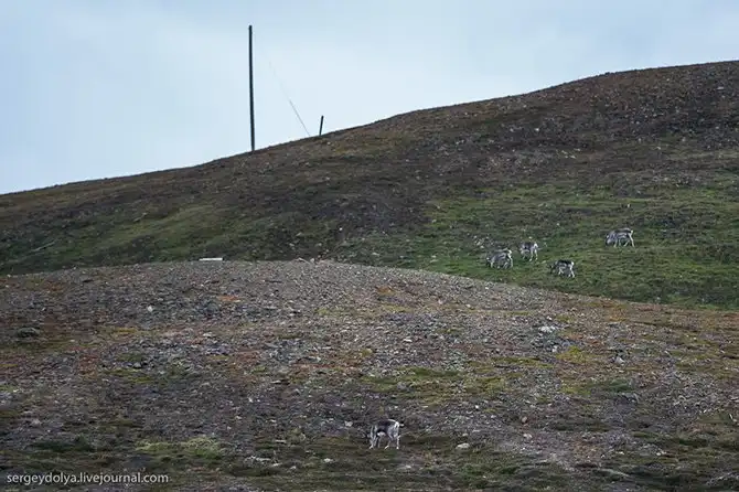 Самый северный город в мире