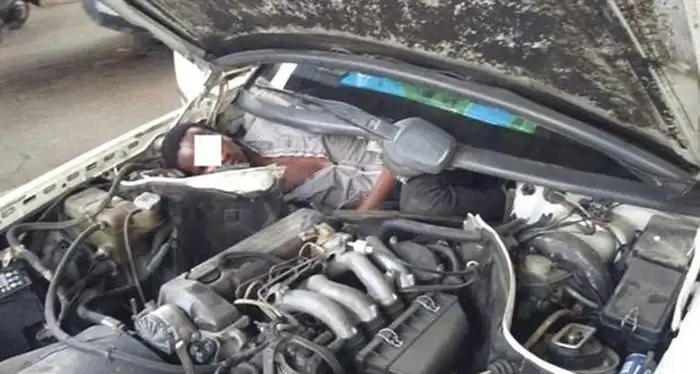 Пытаясь попасть в Европу, мигранты спрятались под капотом и за задним сиденьем авто