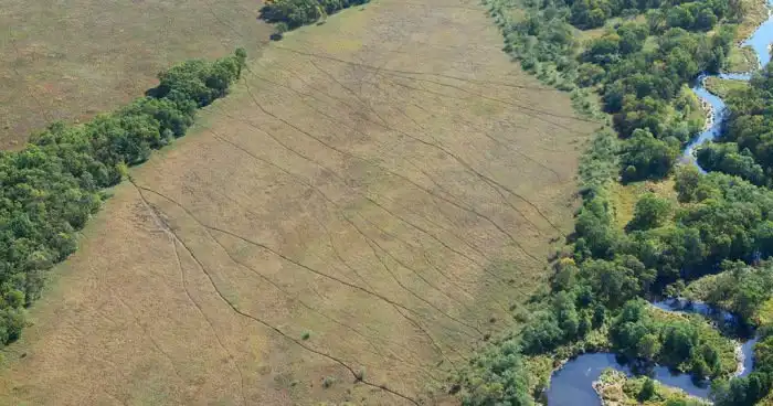 Угадайте, что это за линии в поле?